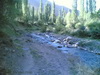 Milad Pic (11)_resize.jpg